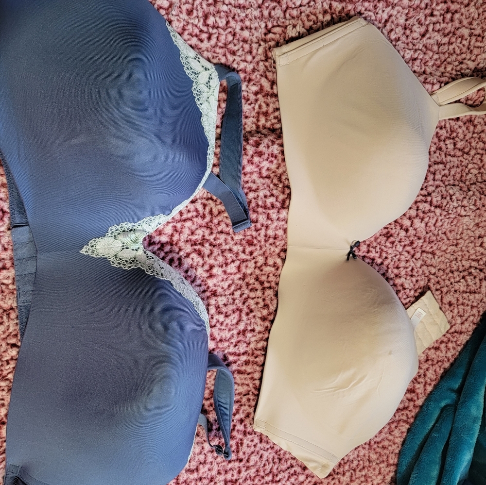 Lane bryant bras